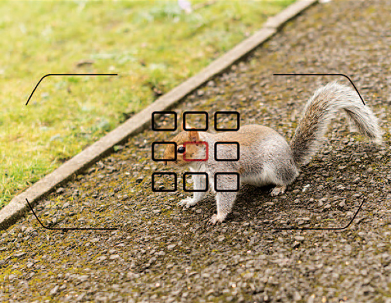 自动对焦镜头怎么用,电脑摄像头自动对焦