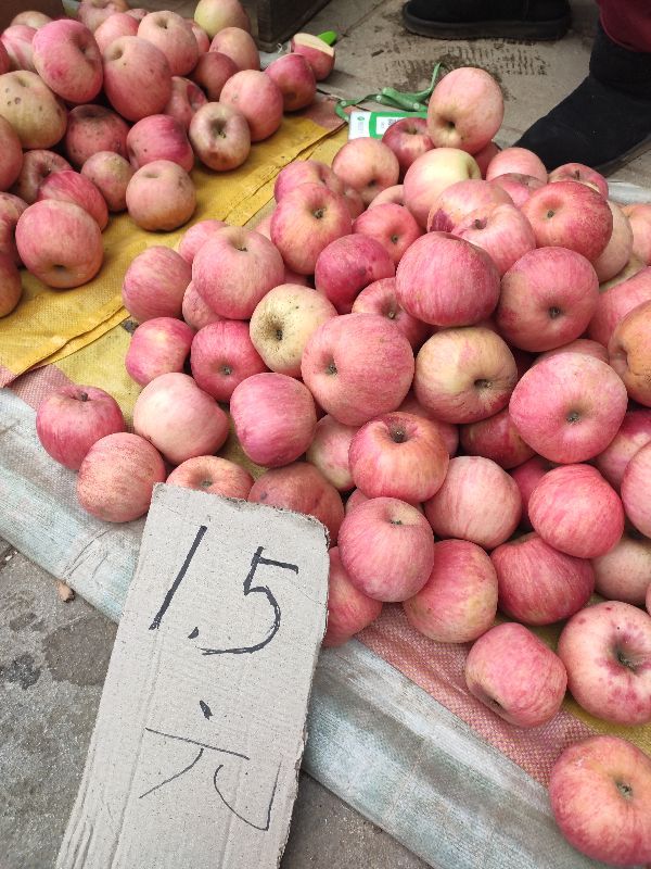 庄河最大早市,庄河南早市