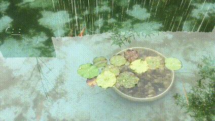 艺术家做人性实验,艺术家做手工