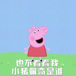 只刷啥是佩奇！那些被夺去猪年C位的小可爱你忘了吗？！
