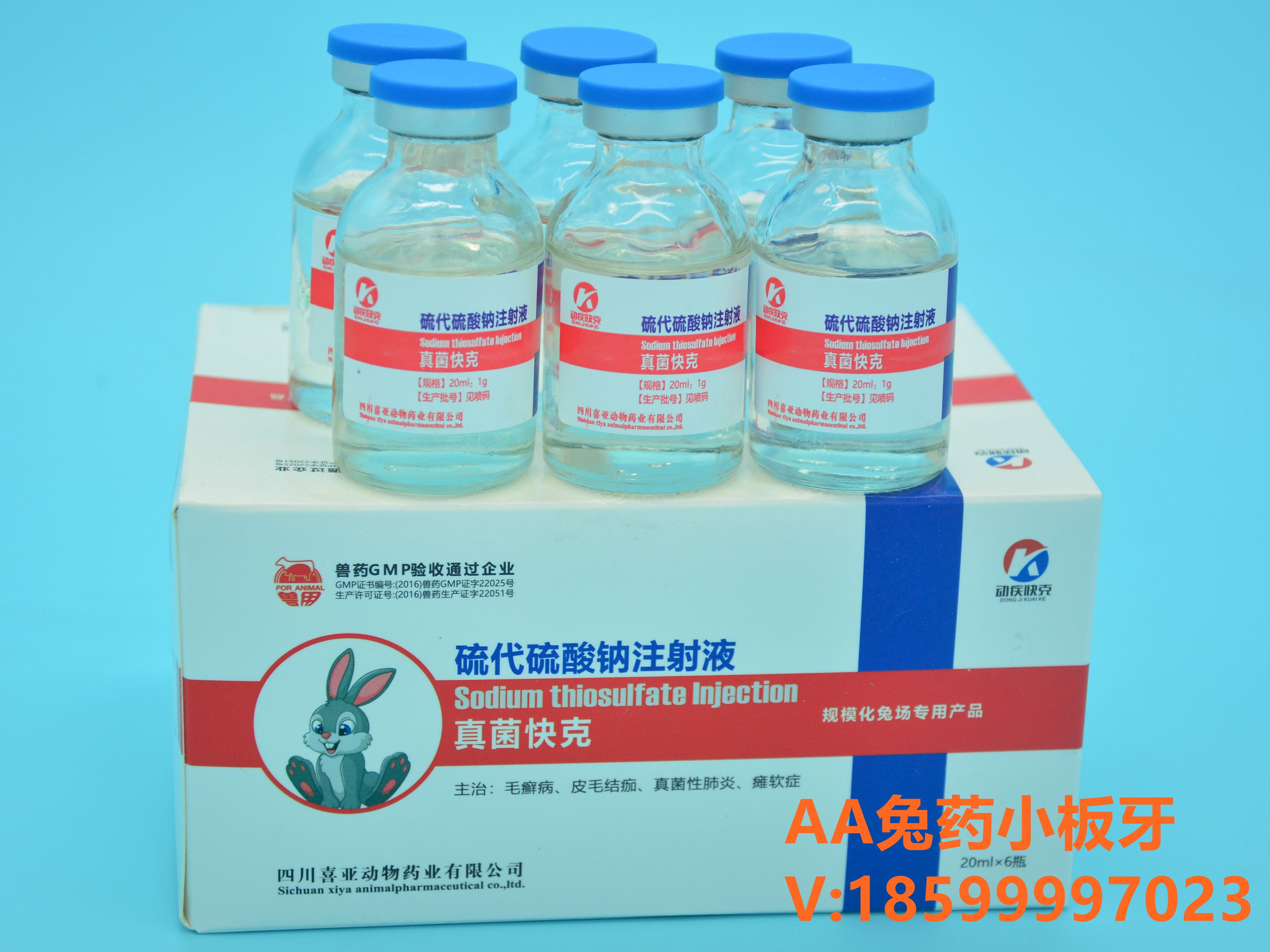 兔子真菌感染怎么治才能除根,兔子真菌感染能配种吗