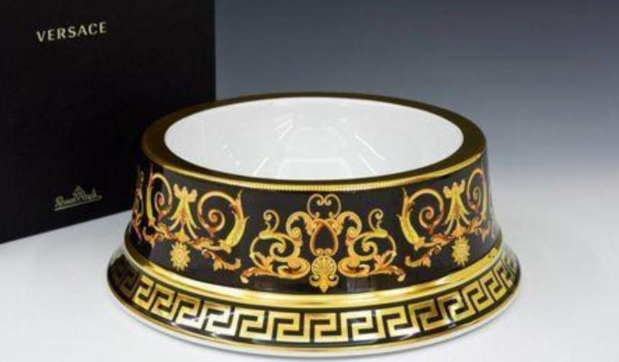 生活在宠物天堂的动物,在天堂的猫狗