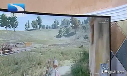 警方侦破特大吃鸡外挂,警方破获特大吃鸡外挂案