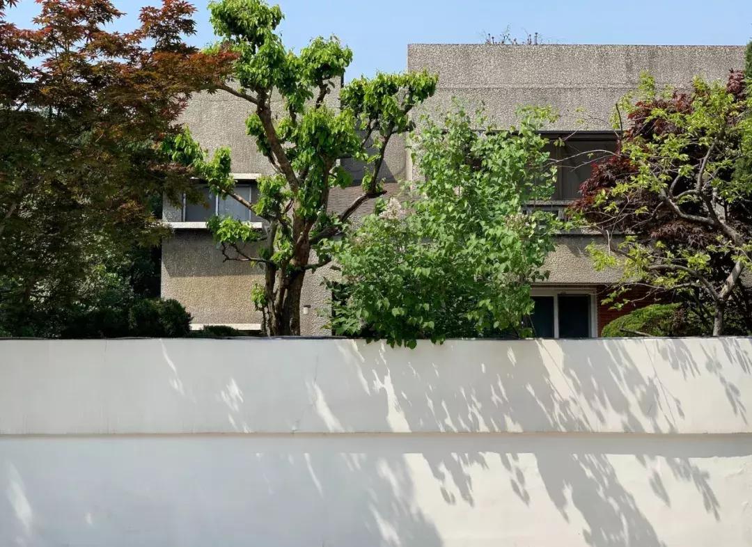 自己去韩国买便宜还是代购便宜,去韩国代购怎么走便宜