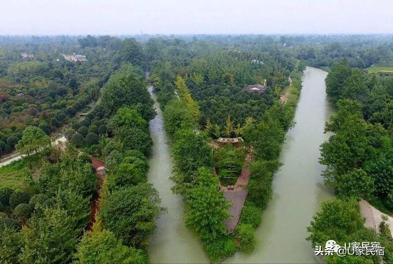 成都首家野奢帐篷酒店，高颜值避世野宿，帐篷听雨树屋观星