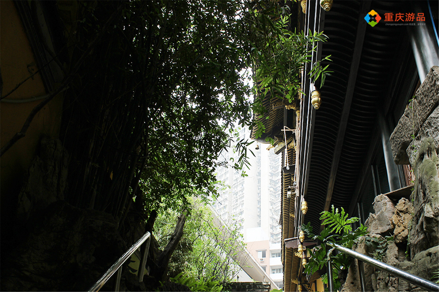 重庆罗汉寺极简主义,重庆罗汉寺因为什么而出名