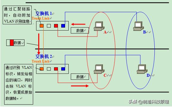 网络vlan基础知识,运用vlan技术建立无线网络的知识