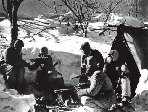 打到三七线后彭德怀收兵，金日成很不满，毛*东泽**：朝鲜可自己追击