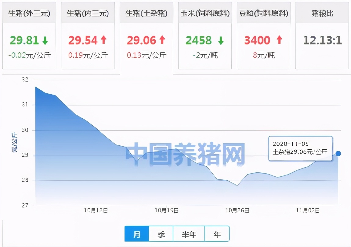 日照今日猪价11月15日猪价,11月10日猪价是上涨还是下跌