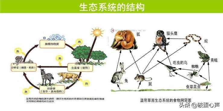 现实中真的存在毒液这种共生体吗,毒液和其他寄生体怎么诞生的