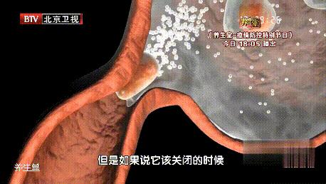 什么样的胃病会导致反流性食管炎,特殊类型胃癌有哪些