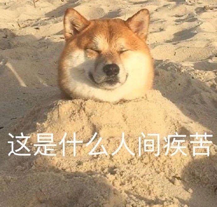 搞笑gif开心一刻单身也挺好,搞笑gif开心视频