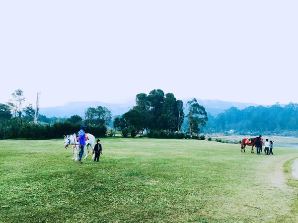 你是我生活远道而来的风景兰卡威斯里兰卡