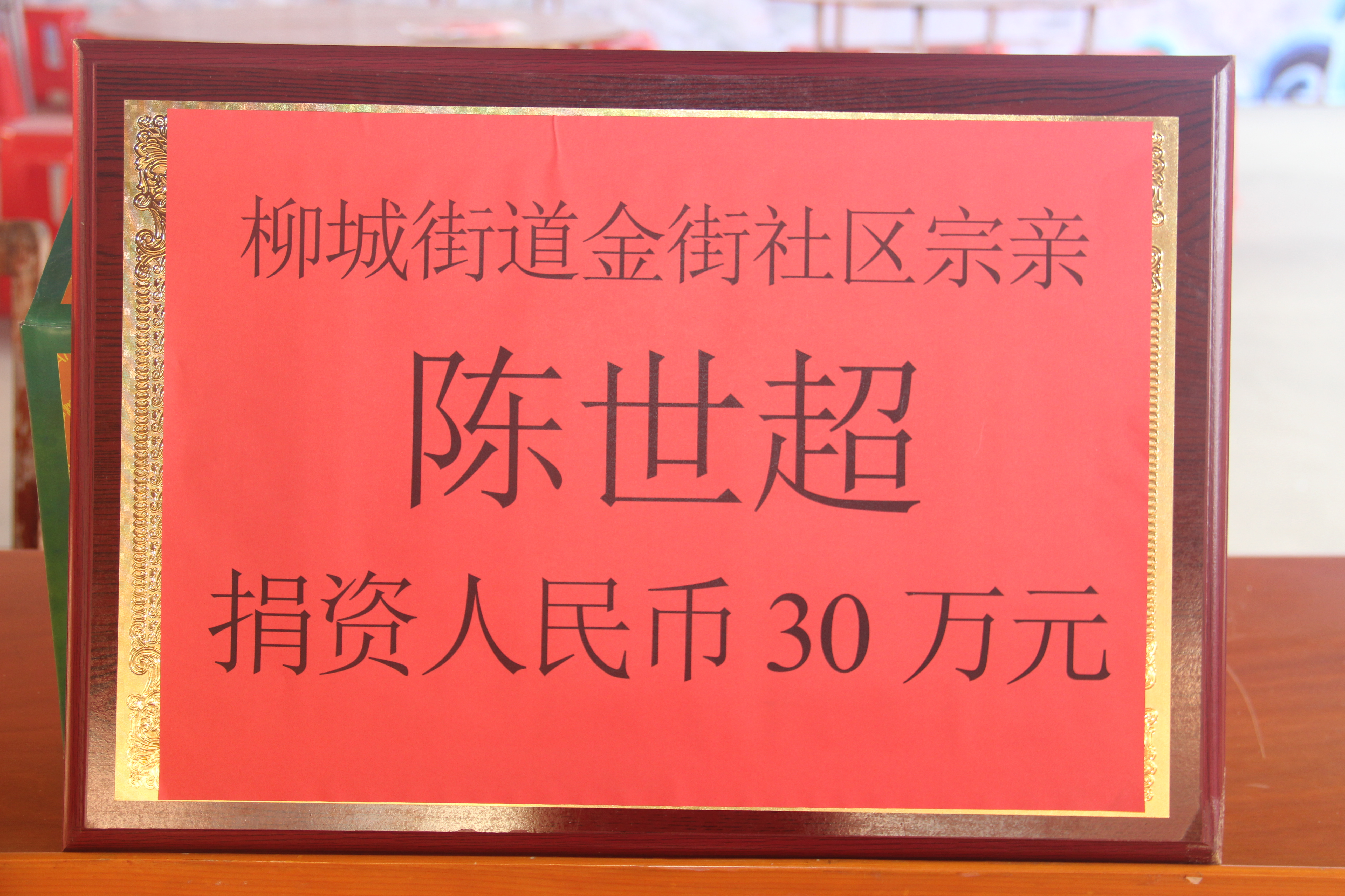 陈氏源流研究会成立庆典,陈氏家族文化联谊会