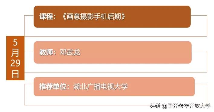 老年大学插花教程,创意插花课