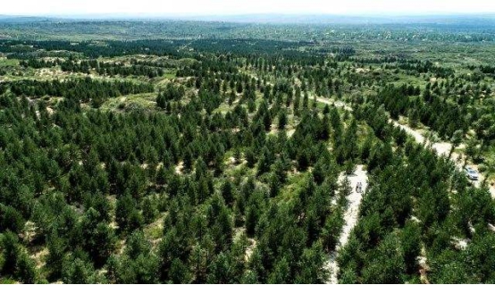 中东为什么不将海水引入沙漠,中东把海水引入沙漠