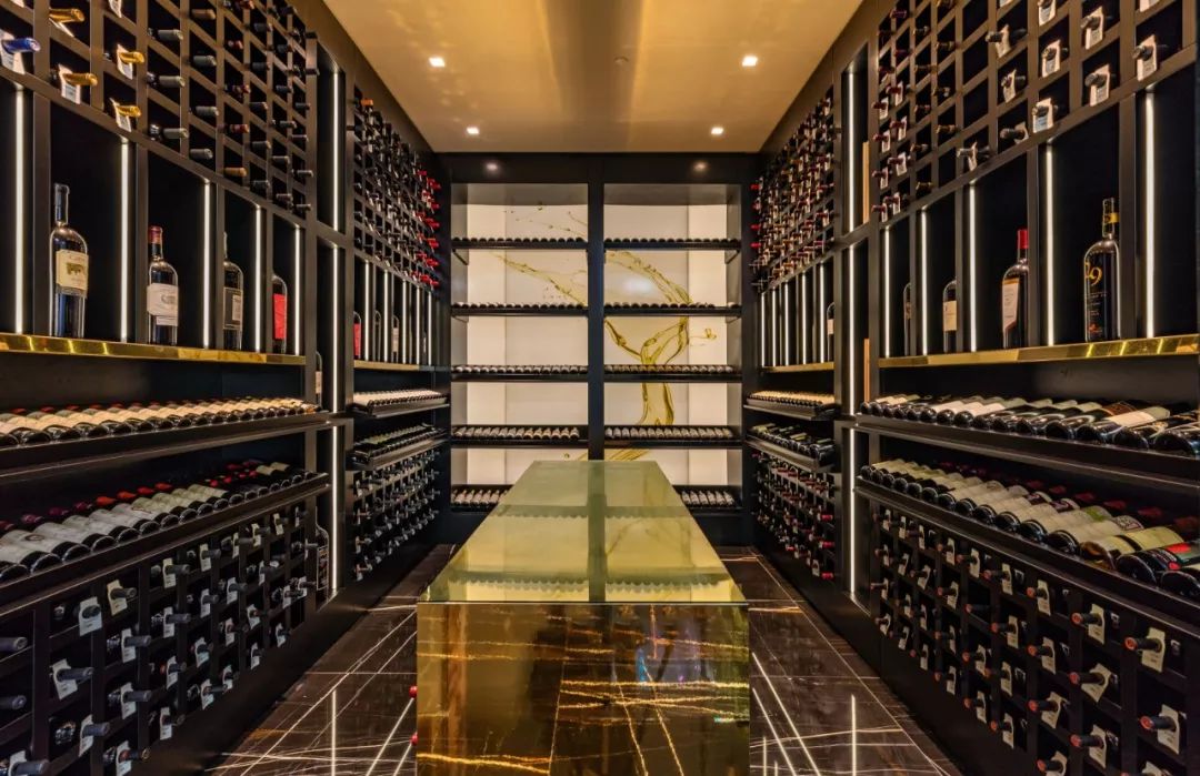 上千亿的顶级豪华别墅,最豪华的高科技别墅