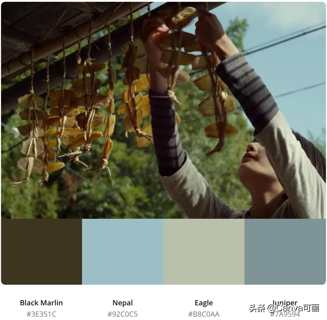 秋天配色插画秋高气爽,秋季高清插画