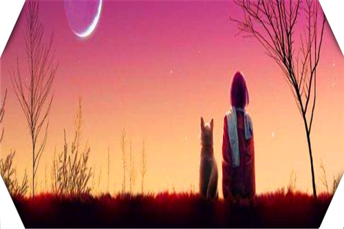 如果你创业失败走投无路会怎么样,创业失败者走投无路怎么办