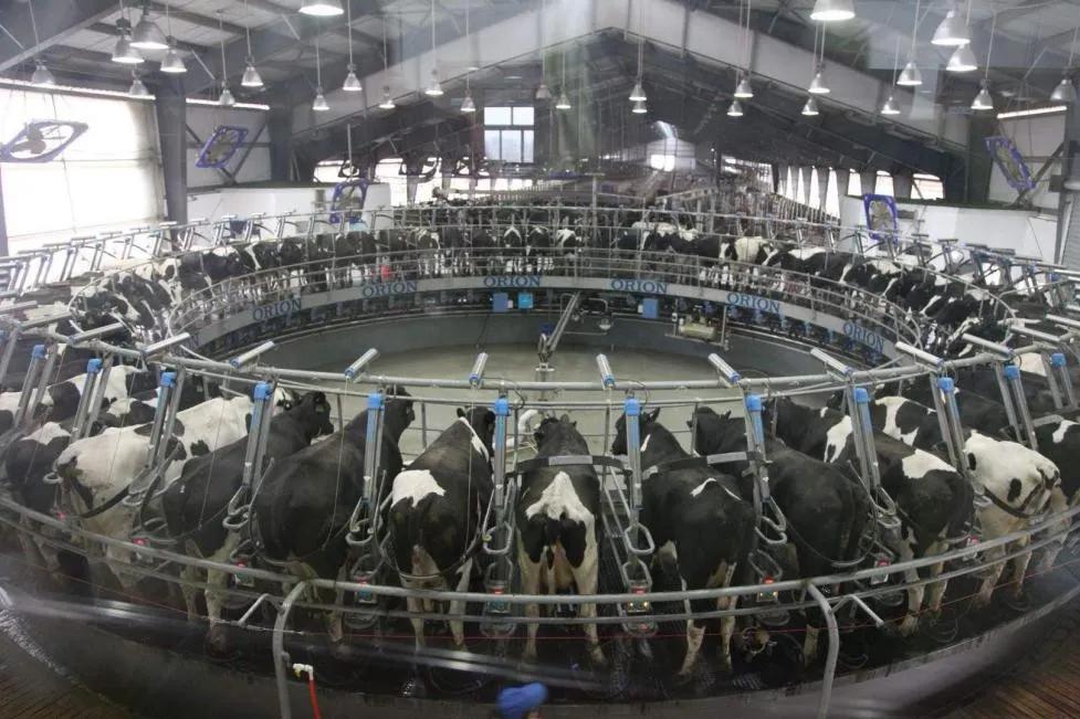 光明乳业抗击疫情,光明乳业抗疫情