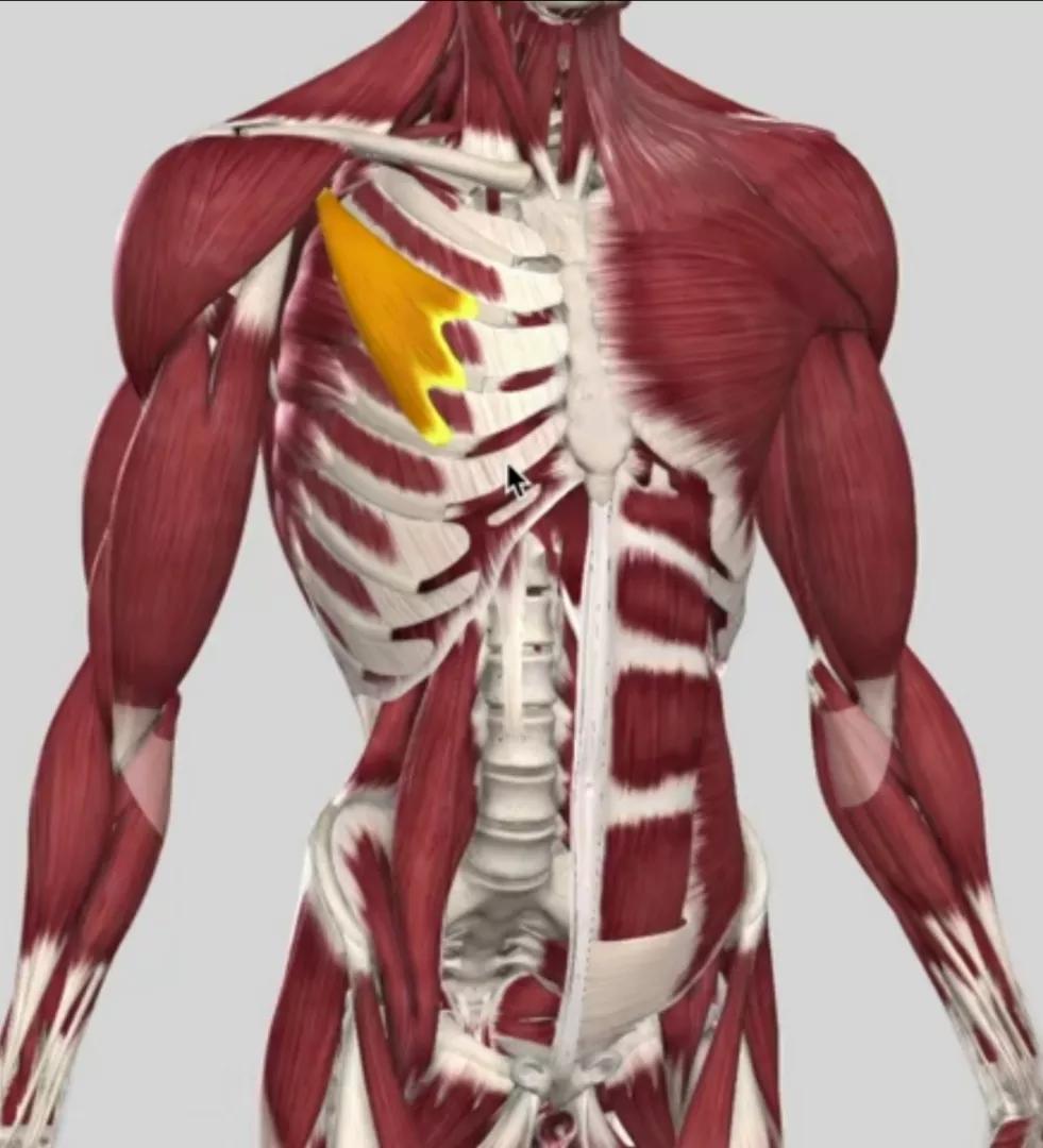 太极练功札记5,太极拳修行日志6式