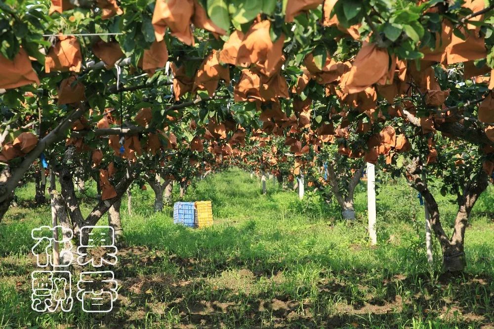 一位企业家的成功之路,企业家要有仰望星空的格局与胸襟