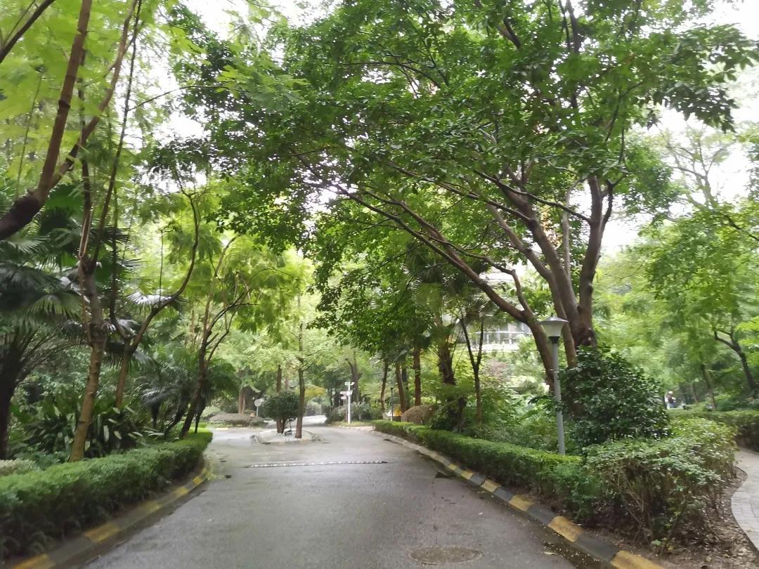 温江适合买房吗,温江今年适合买房吗