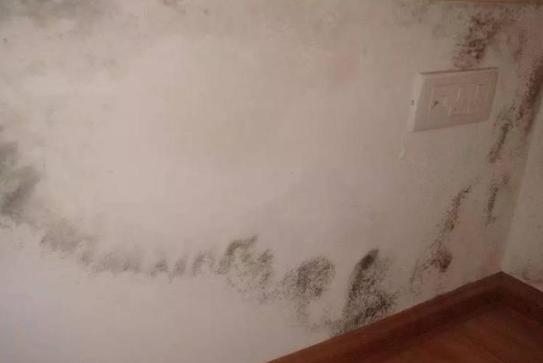 墙面返潮的原因和彻底解决方法,墙面返潮最好的办法
