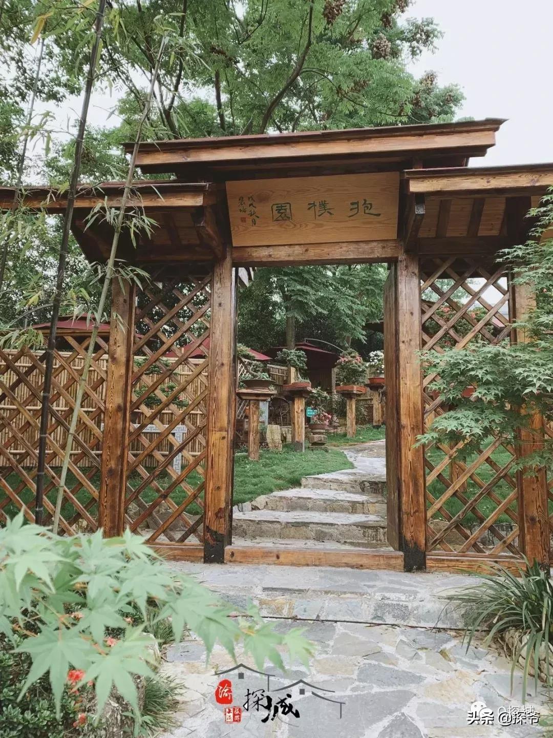 适合遛娃的地方重庆绿色星球,重庆150米神秘花园