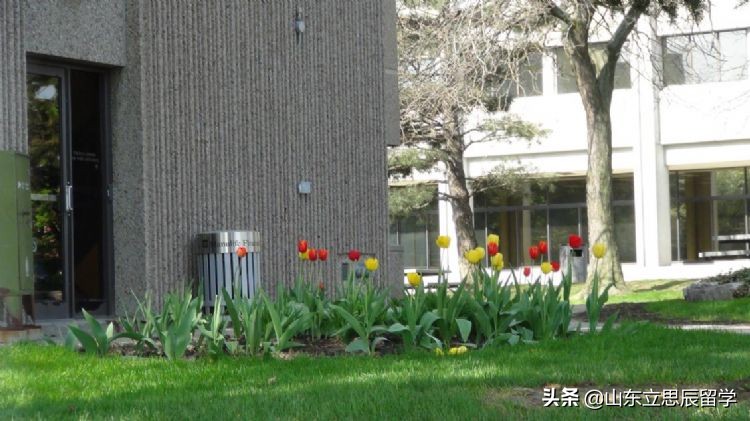 加拿大麦吉尔大学为什么这么好？