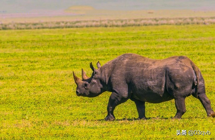 鏈涙棤杈归檯鐨勬捣,鏈涙棤杈归檯