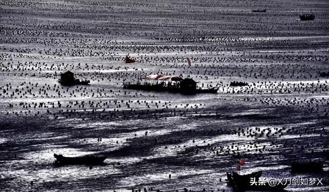 一位导游的枸杞岛之旅 (枸杞岛2021年原创游记攻略分享)