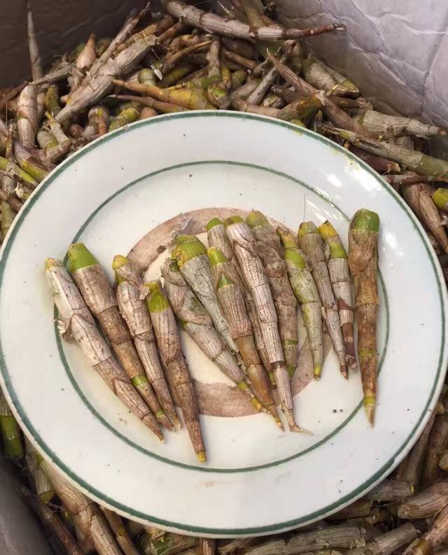 老挝特产中国烟,老挝特产视频