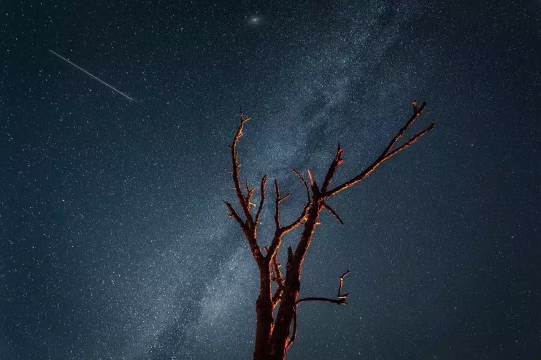 vlog留学日常澳洲,留学旅行vloger