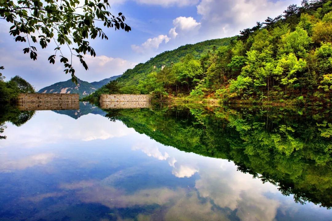 全国林草生物多样性保护成就展,林业生物多样性保护