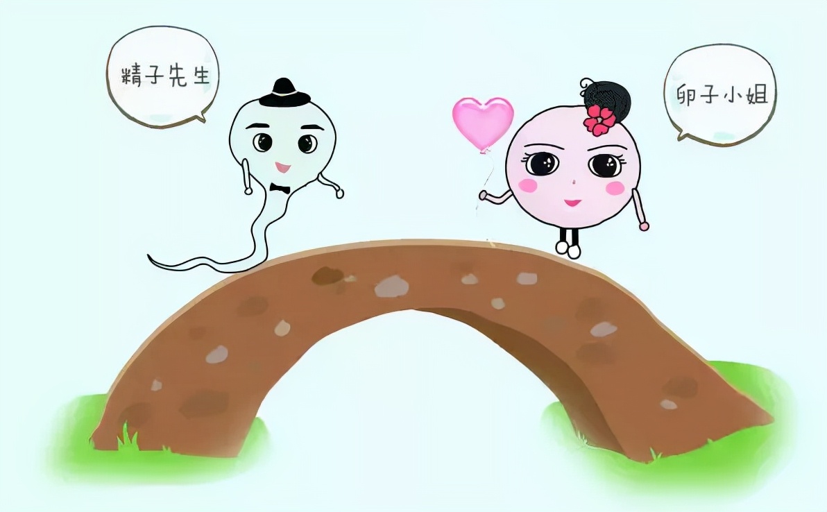 输卵管疏通后还会再次堵吗,输卵管堵了还会来大姨妈吗