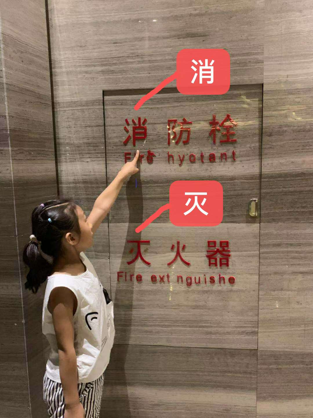 小学啄木鸟行动校外纠正错别字,啄木鸟找错别字实践活动