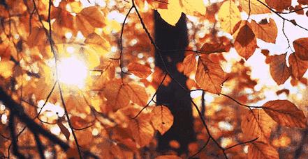 大悦城博纳影城在几楼,大悦城的电影院叫什么名字