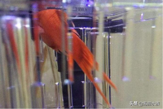 从外表到内在再到灵魂,从外表到内在