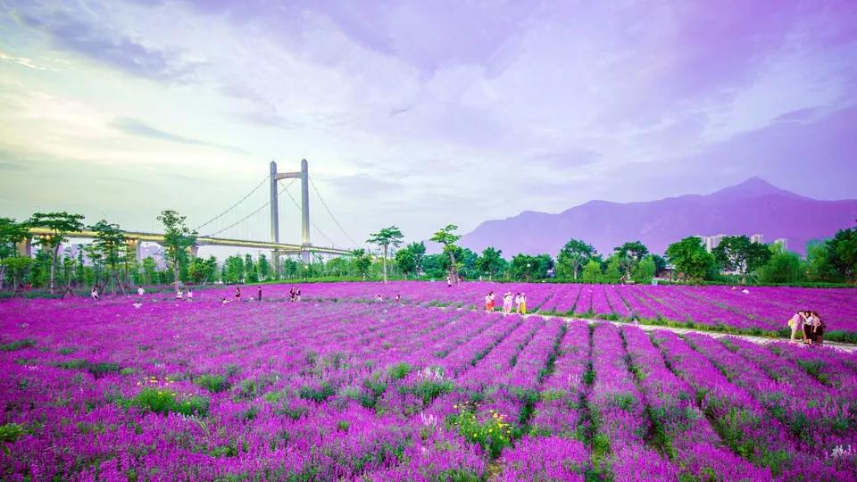 福州十大免费景点,福州网红景点免费