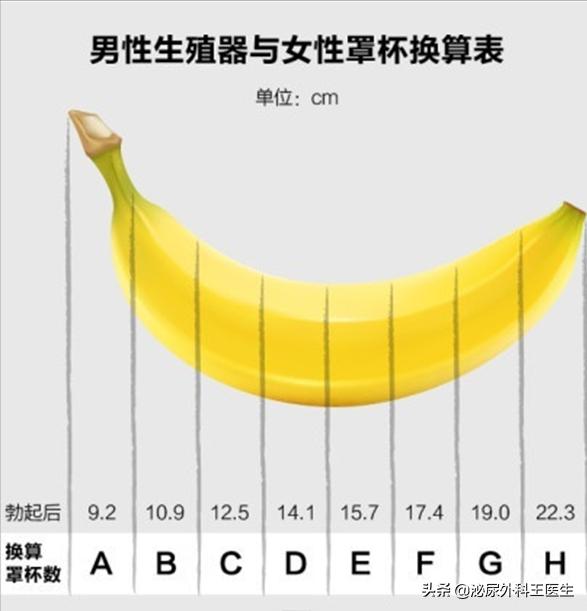 男性阴茎长度人均18cm?别被骗了!这个长度才正常