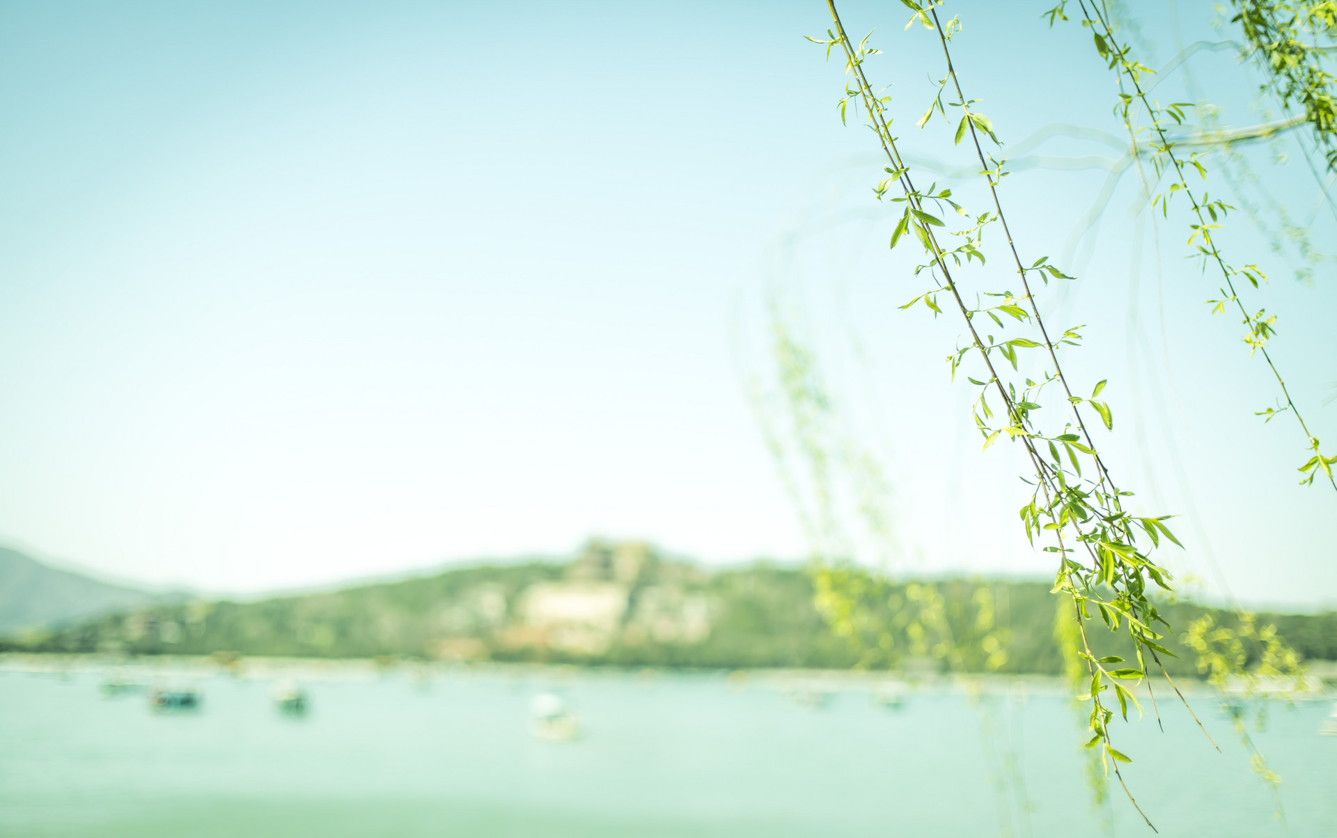 50首最美诗,三十六首桃花诗词惊艳了整个春天