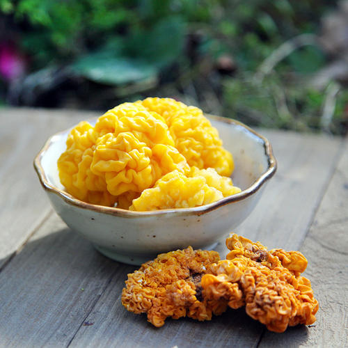 银耳和金丝耳,石耳和木耳营养区别