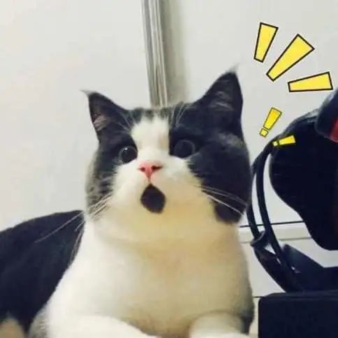 凉席洗不对千万螨虫陪你睡,怎样清洗凉席消除螨虫