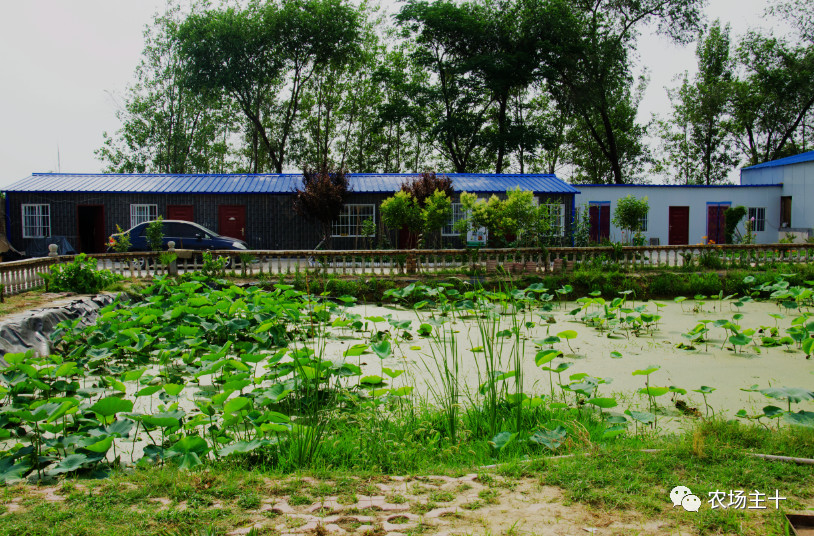 从沿街乞讨到身家亿万，“特养教父”32年的农业路堪称一部传奇史