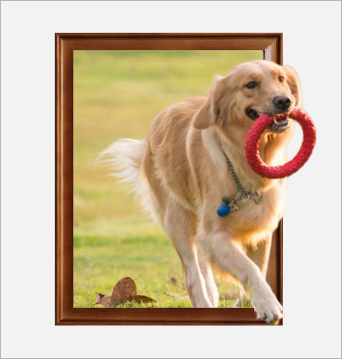 ppt3d环绕动画效果,ppt中3d效果设计