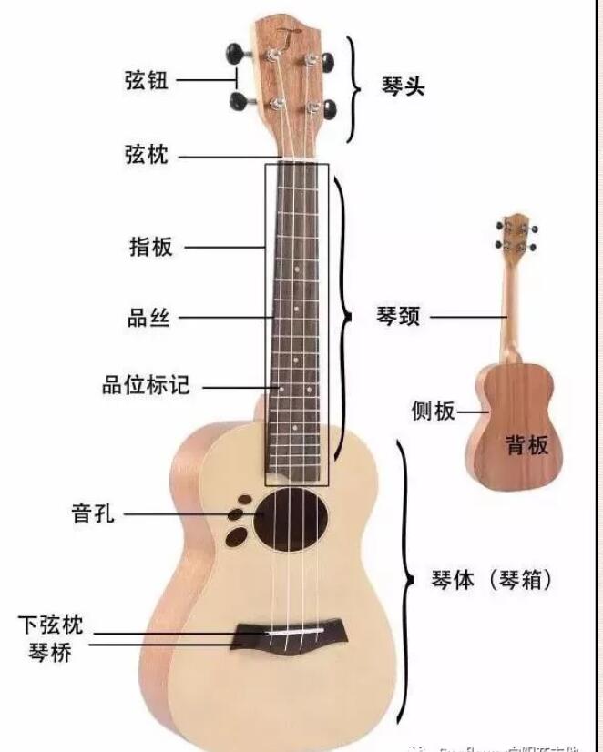尤克里里起风了ukulele单音指弹,尤克里里课堂小乐器