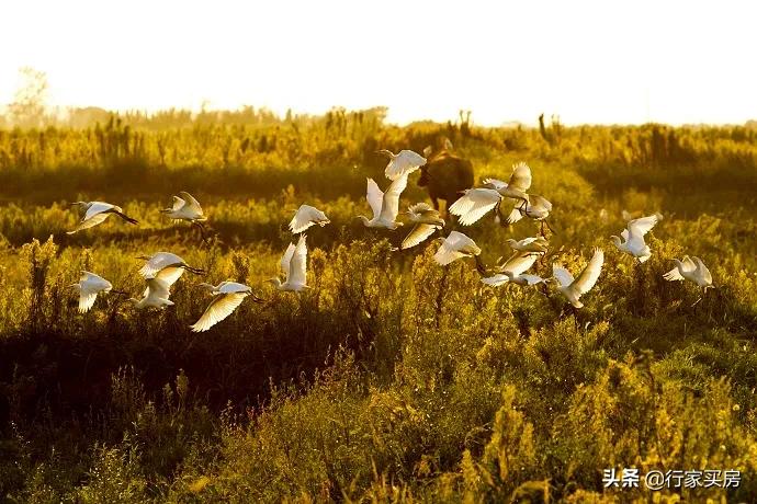 佘山纯独栋别墅前景,佘山别墅楼盘138-150平米