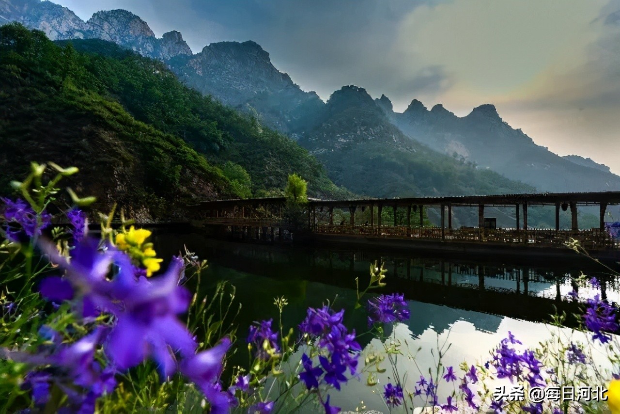 疫情后石家庄人最想说的一句话,疫情后的石家庄会有政策吗