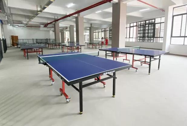 平洲中心小学宣传片,平洲中心小学省一级